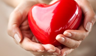 herbal Heart Disease treatments